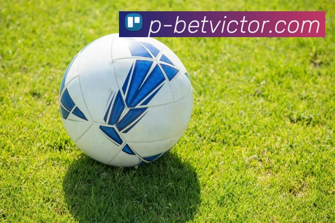 伟德官网平台生态图