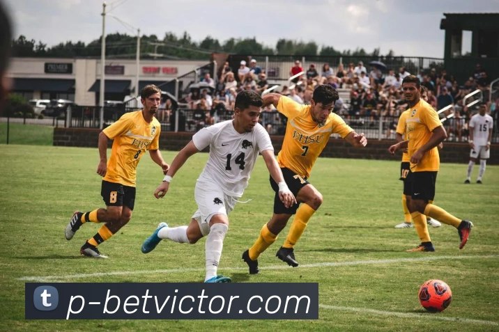 伟德官网APP 封面图